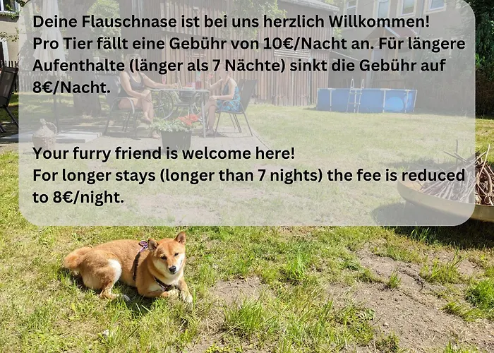 H6 -Urlaubsmagie- Wohnung Fuer 3 Mit Pool & Terrasse