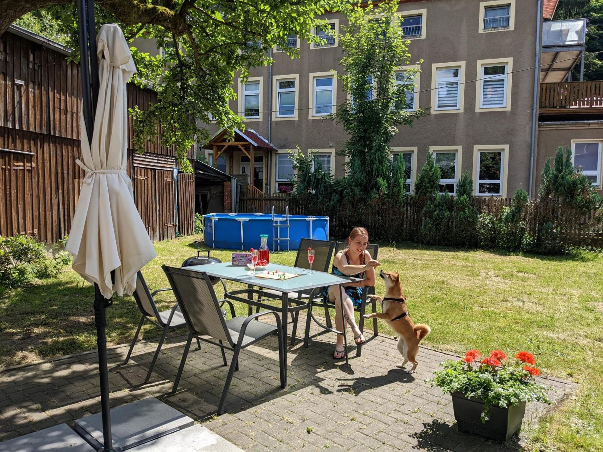 Apartment H6 -urlaubsmagie- Fuer 3 Mit Pool & Terrasse Sebnitz