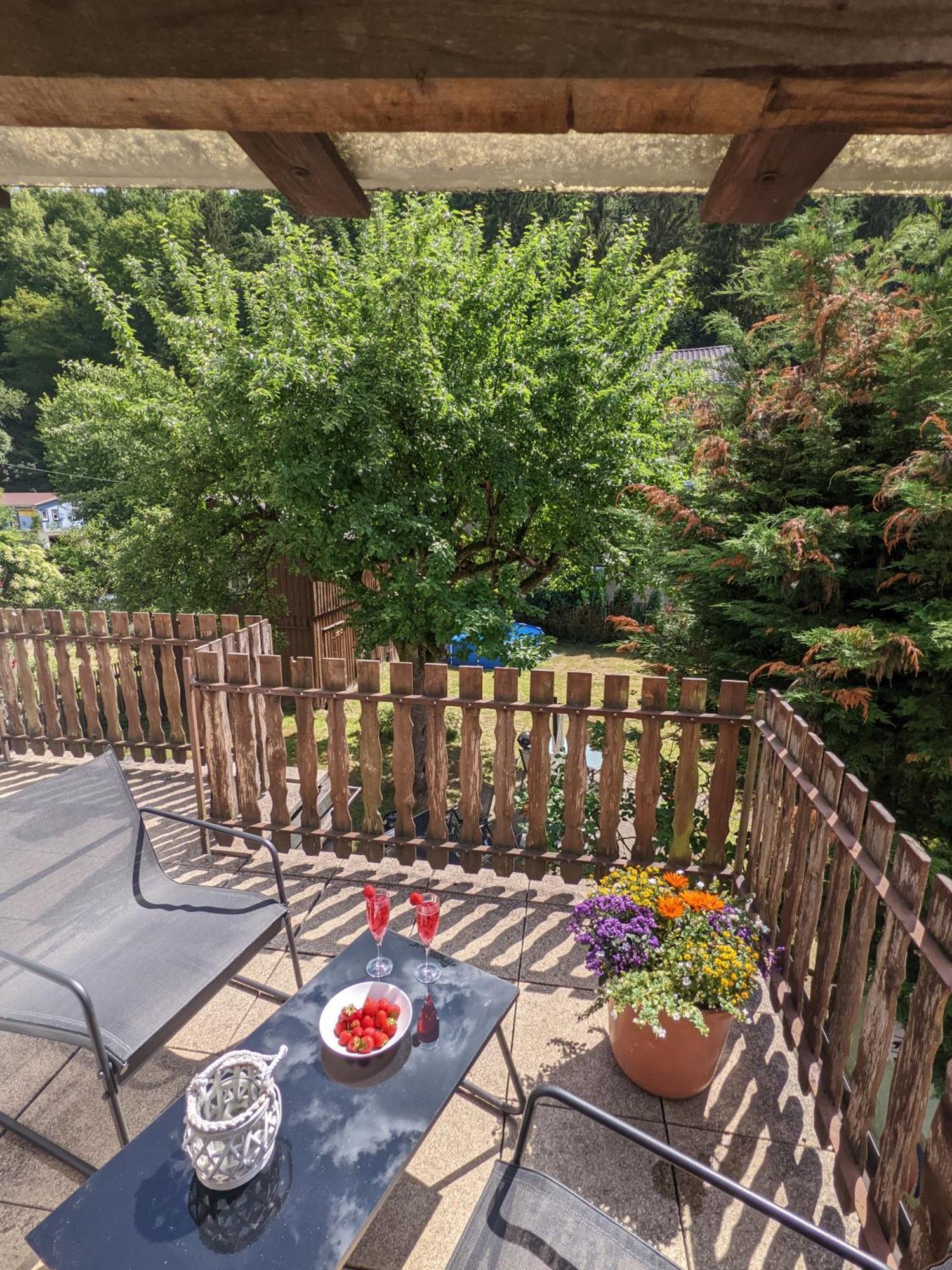 H6 -urlaubsmagie- Fuer 3 Mit Pool & Terrasse Apartament Sebnitz