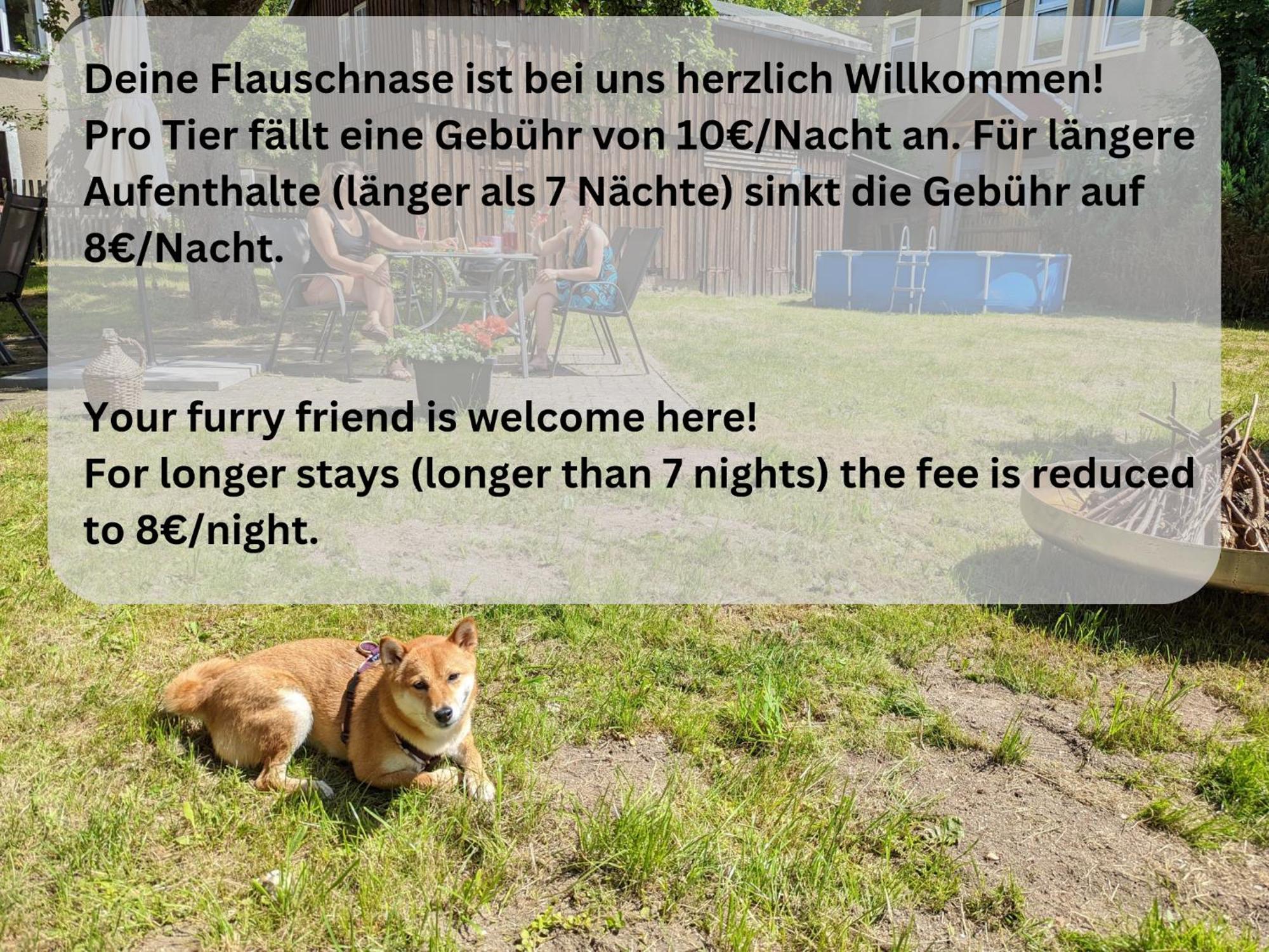 H6 -urlaubsmagie- Fuer 3 Mit Pool & Terrasse Apartment Sebnitz